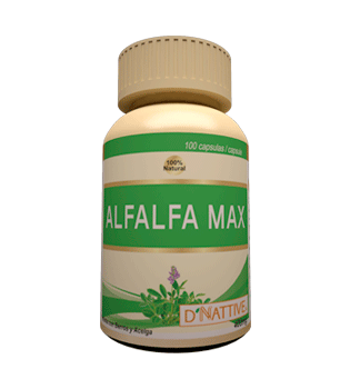 alfalfa