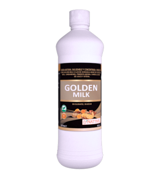 golden milk