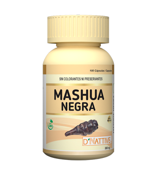 mashua negra