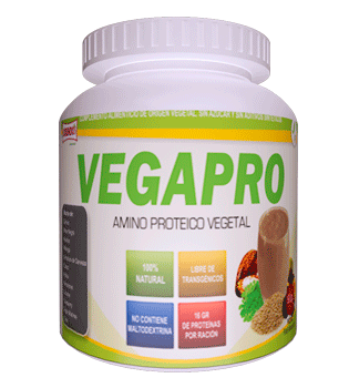 vegapro