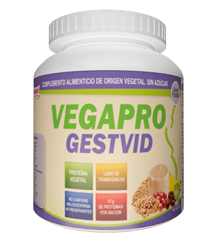 vegagest